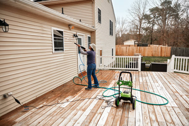 Best Roof Pressure Washing  in Mogul, NV